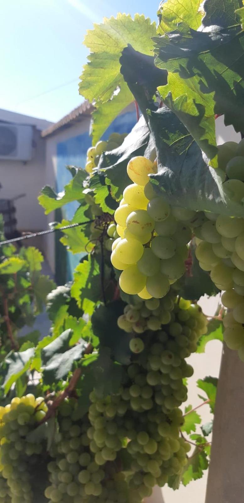 Casa Le Gebbie Villa Marzamemi Luaran gambar