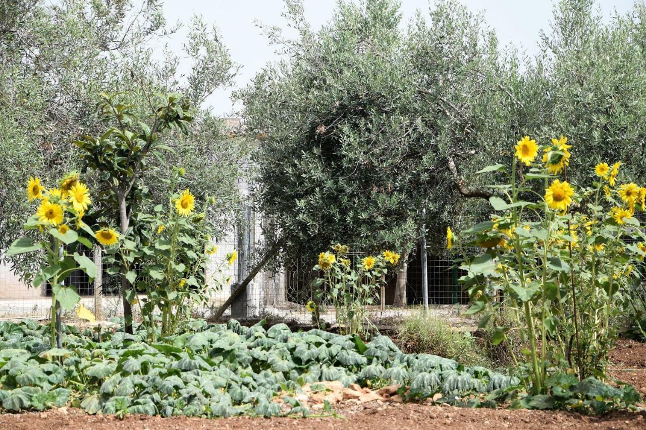 Casa Le Gebbie Villa Marzamemi Luaran gambar