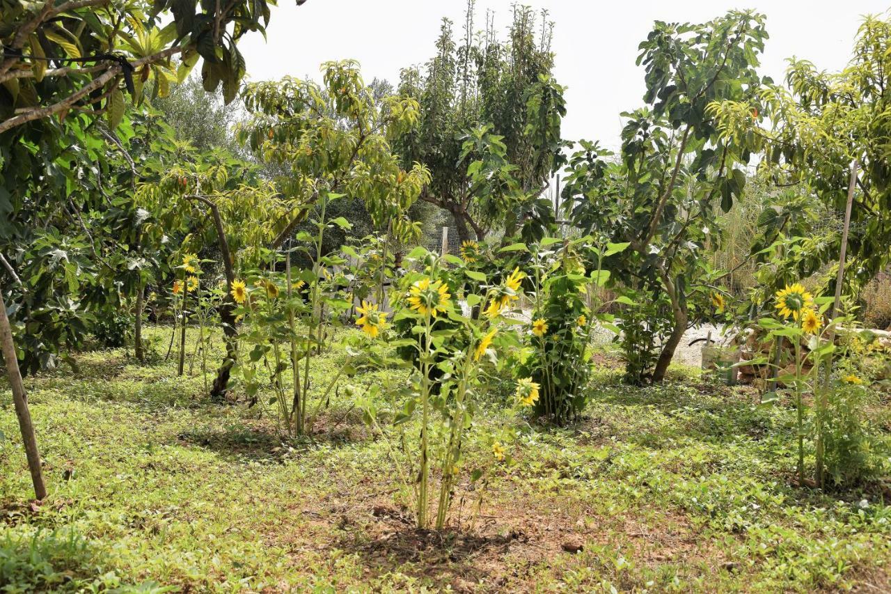 Casa Le Gebbie Villa Marzamemi Luaran gambar